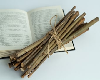 Aspen branches set of 10/20, natural dried branches, Aspen sticks protective rituals magic druids, wiccan supplies, witch decor