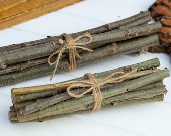 Oak branches set of 10, natural dried branches, Wood branch Oak branch Craft sticks Wood stick Wood craft supply