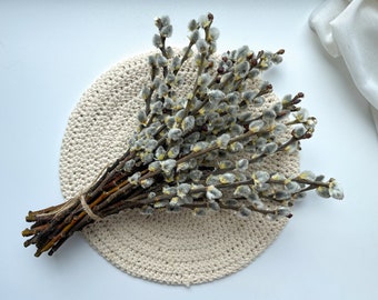 Pussywillow branches, Catkins, natural dried branches, spring decor, natural dried flowers dried bouquet, vase filler, easter decor