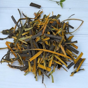Buckthorn Bark | Frangula alnus | Dried Buckthorn Tree Bark | Ritual Herbs, Protection & Banishing Magic, Witchcraft, Craft Supplie