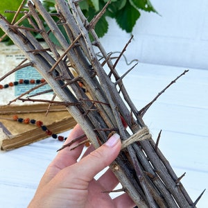 Branches of wild plum with thorns , 10 wild plum Sticks, branches for decor and crafts, Branches of wild plum, Natural branches