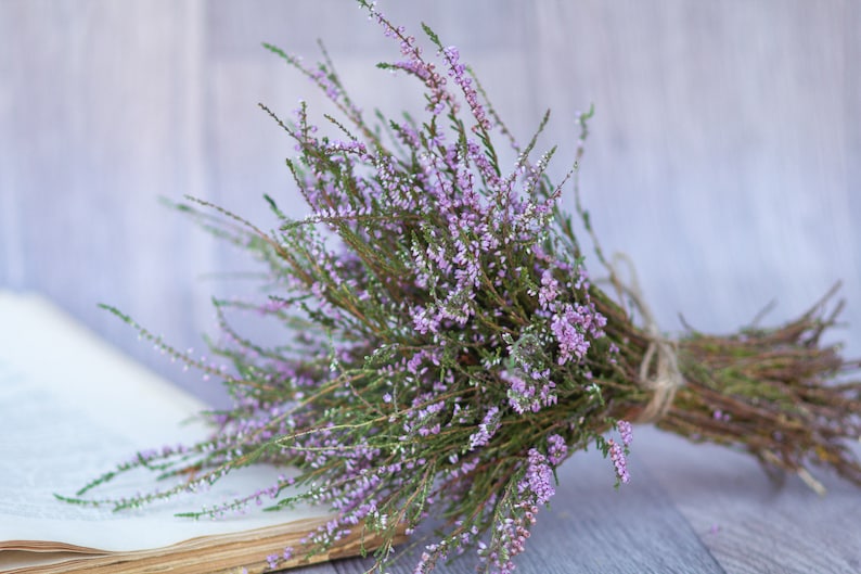 Heideboeket droogbloembos gedroogde heidebloem Calluna vulgaris naturel gedroogde wilde bloemen oude cottage bos rustieke stijl boeket afbeelding 7