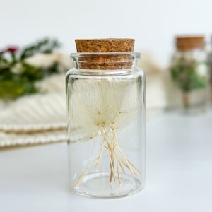 Dandelion Wish Bottle Mini bottle gift Dandelion in a bottle, glass bottles with Dandelion, Wedding favors for guests Fairy Wish Bottle