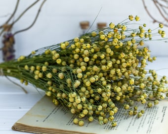 Flax linum, Dried Linum Bunch, dried flax fruits bunch, flax fruits branches, Natural Linum, Rustic Flower Bouquete, DIY handcraft supply