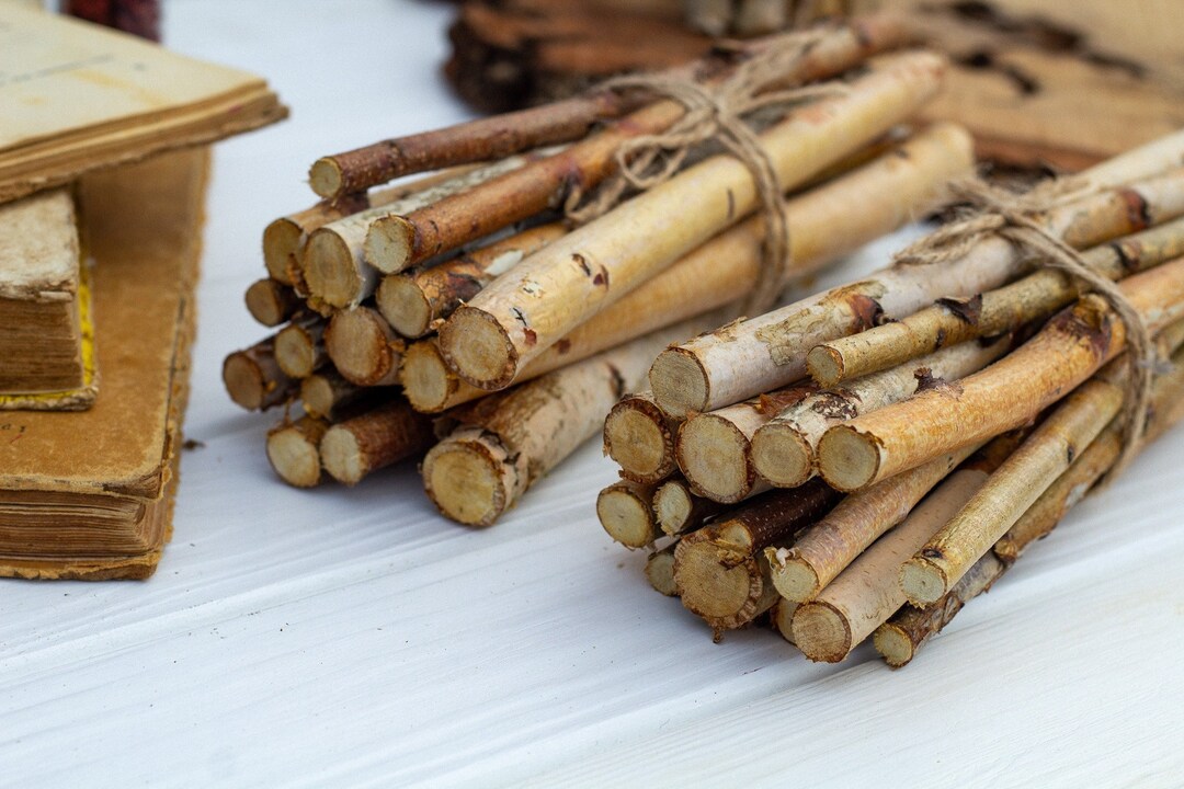 Natural Dried Birch Branches Set of 12, Natural Dried Branches, Birch