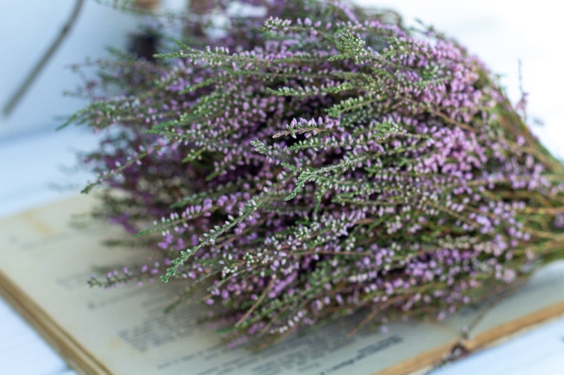 Heather bouquet dried flower bunch dried heather flower Calluna vulgaris natural dried wild flowers old cottage bunch rustic style bouquet image 5