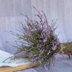 Heather bouquet dried flower bunch dried heather flower Calluna vulgaris natural dried wild flowers old cottage bunch rustic style bouquet image 8