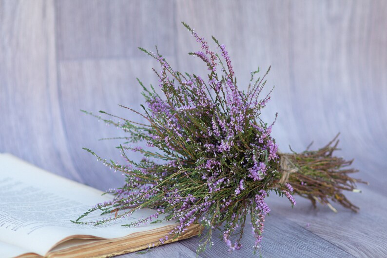 Heideboeket droogbloembos gedroogde heidebloem Calluna vulgaris naturel gedroogde wilde bloemen oude cottage bos rustieke stijl boeket afbeelding 8