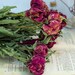 see more listings in the Dried bouquets section