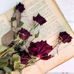 Dried Flower Bouquets Rustic style bouquet Dried wild flowers Dried Colorful Flower Bouquet Dried flower bunch