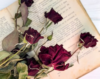 Boeket gedroogde rozen Boeketten met gedroogde bloemen Rustiek boeket Boeket gedroogde kleurrijke bloemen Boeket gedroogde bloemen. Gedroogde rozen