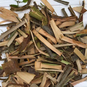 Rowan (Mountain Ash) Bark | Sorbus aucuparia | Wildcrafted, Dried | Incense, Spellwork & Craft Supply