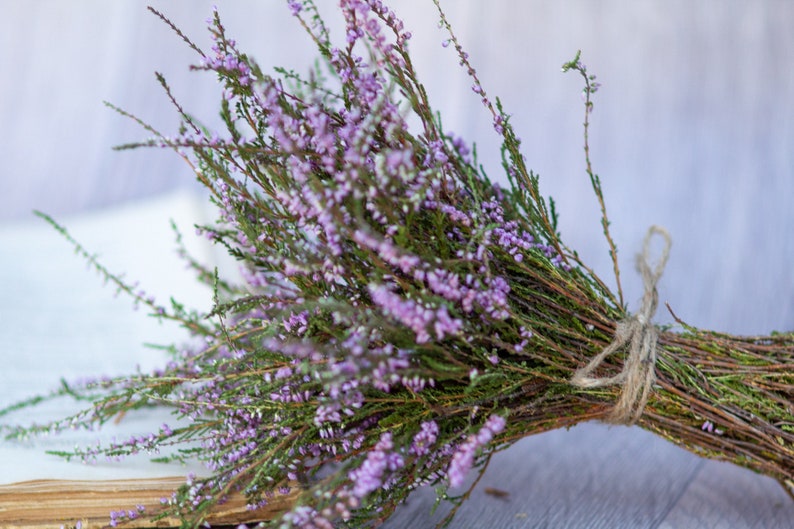 Heather bouquet dried flower bunch dried heather flower Calluna vulgaris natural dried wild flowers old cottage bunch rustic style bouquet image 1