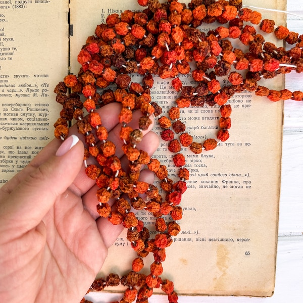 Rowan berry charm, Mountain Ash, Rowan Berry Pendant, protection spell, talisman, Dried rowan, Dried Mountain Ash berries