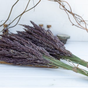 Bouquets of wild grass, Dried Grass Bunch, Grass Wedding Decor, Natural Dried Bouquet, rustic wedding, rustic decor, filler for vase