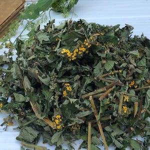 Può includere: Un mucchio di erbe essiccate con foglie verdi e piccoli fiori gialli. Le erbe sono disposte su una superficie bianca, con steli visibili e alcuni rametti di foglie verdi fresche. L'immagine suggerisce un prodotto naturale e biologico.