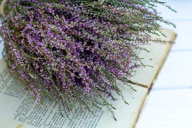 Heather bouquet dried flower bunch dried heather flower Calluna vulgaris natural dried wild flowers old cottage bunch rustic style bouquet image 9