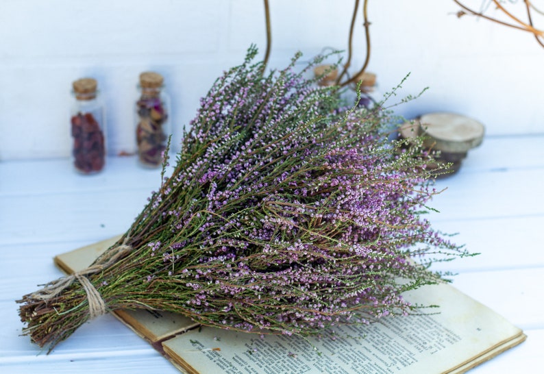 Heather bouquet dried flower bunch dried heather flower Calluna vulgaris natural dried wild flowers old cottage bunch rustic style bouquet image 6