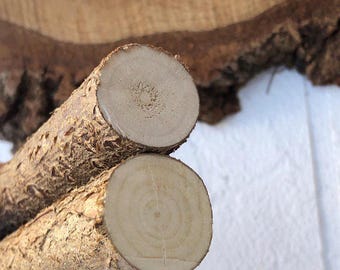 Set of 2 natural hazel stick 0,98'' diameter, Hazel branches, natural wood dried branches ,Craft sticks, Wood craft supply,real hazel wood