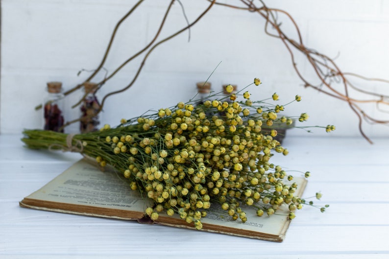 Flax linum, Dried Linum Bunch, dried flax fruits bunch, flax fruits branches, Natural Linum, Rustic Flower Bouquete, DIY handcraft supply image 4