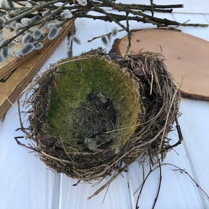 Real bird&#39;s nest, authentic bird nest, Natural décor crafts supply terrarium garden ornithologist’s collection Easter décor