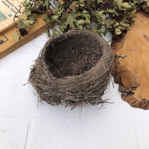Authentic bird nest, Real bird&#39;s nests Natural findings Natural décor crafts supply terrarium garden ornithologist’s collection Easter décor