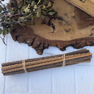 Pine Tree Sticks Set (10/20 pcs) – Rustic Natural Woodland Decor, pine branch set,  botanical craft materials