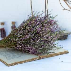 Heather bouquet dried flower bunch dried heather flower Calluna vulgaris natural dried wild flowers old cottage bunch rustic style bouquet image 1