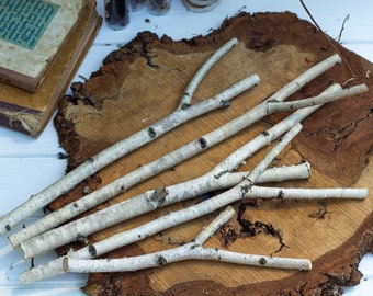Forked Dried Birch Branches, Natural dried birch branches set of 5, natural dried branches, Birch sticks White birch sticks for vase