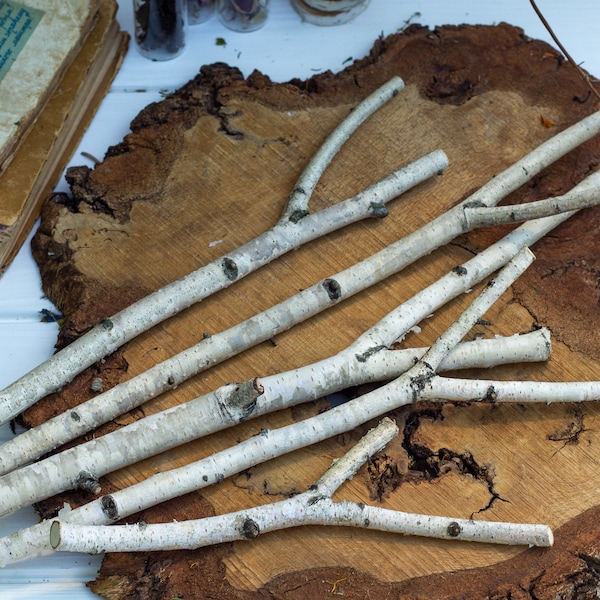 Forked Dried Birch Branches, Natural dried birch branches set of 5, natural dried branches, Birch sticks White birch sticks for vase