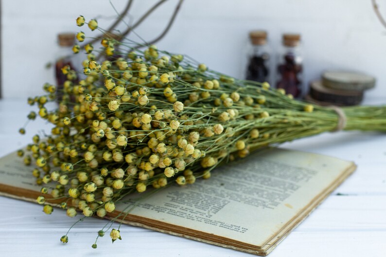 Flax linum, Dried Linum Bunch, dried flax fruits bunch, flax fruits branches, Natural Linum, Rustic Flower Bouquete, DIY handcraft supply image 3