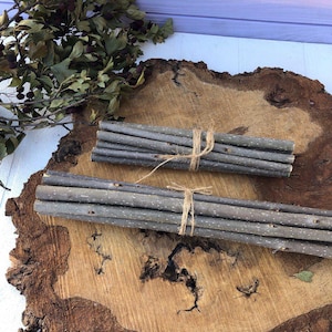 Askträdspinnar Set med 10/20, Askkvistar, 20 - 28 cm långa, 0,3-0,5 cm i diameter, Druidiska ritualgrenar, heligt trä för magi