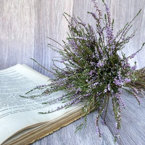 Heather bouquet dried flower bunch dried heather flower Calluna vulgaris natural dried wild flowers old cottage bunch rustic style bouquet image 4