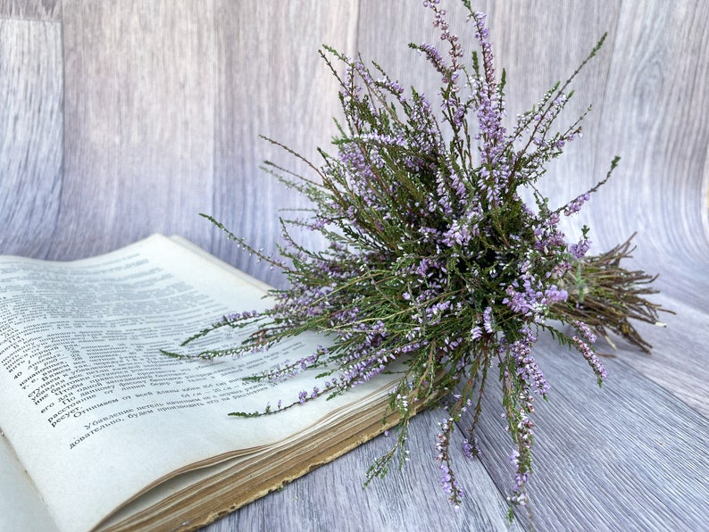 Heather bouquet dried flower bunch dried heather flower Calluna vulgaris natural dried wild flowers old cottage bunch rustic style bouquet image 4