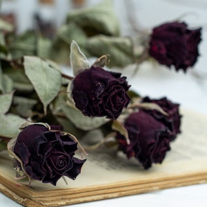 Dried rose flowers,Wedding Decor, natural rose flower with stems, Rustic vintage bouquet, DIY craft supply, flowers arrangement ,vase filler