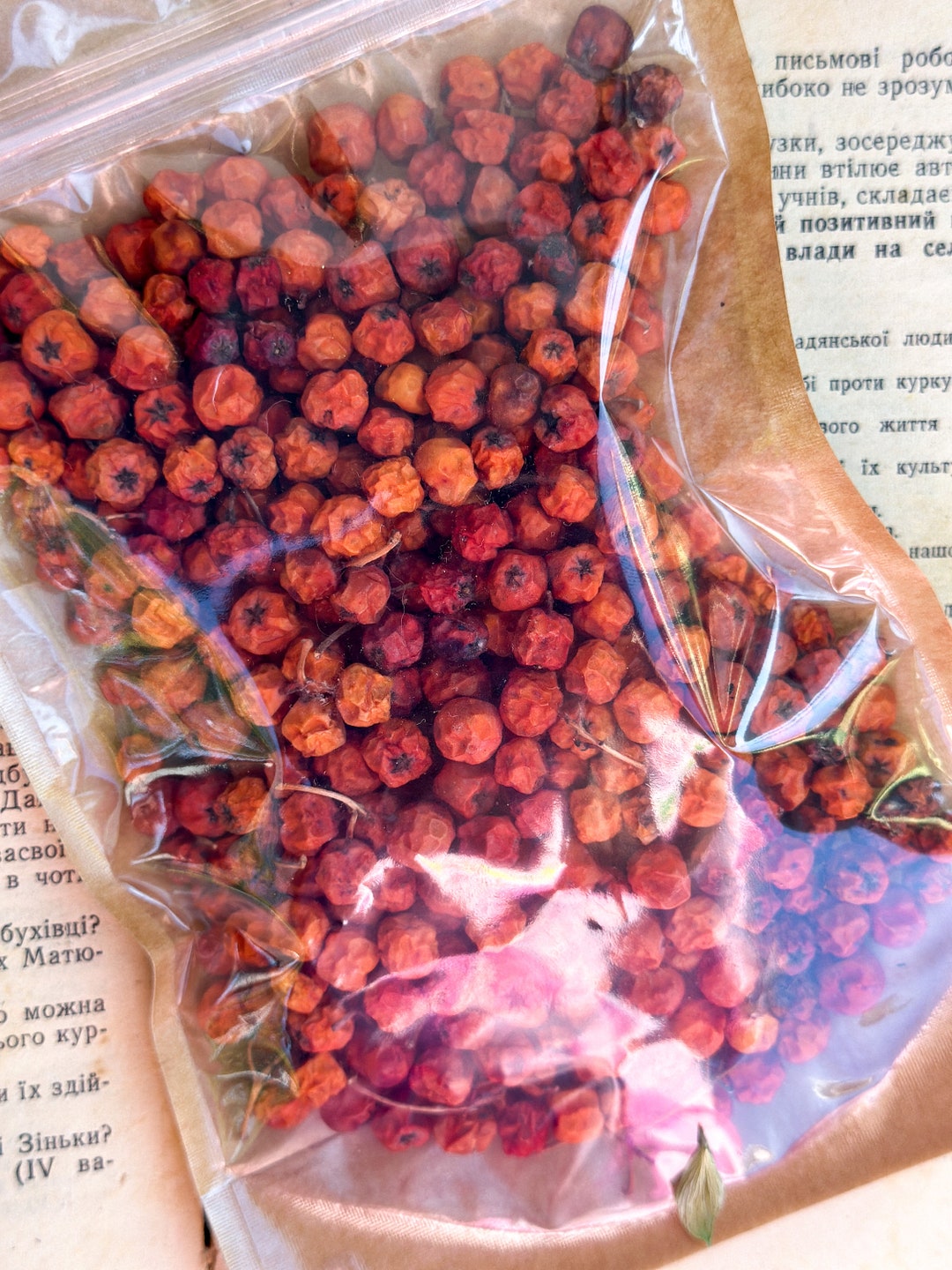 Dried Rowan Berries, Mountain Ash Berries sorbus Aucuparia, Naturally