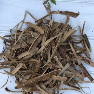 Hazel Bark | Corylus avellana | Dried Hazel Tree Bark | Ritual Herbs, Protection Magic, Witchcraft & Craft Supplies | 50–150 g