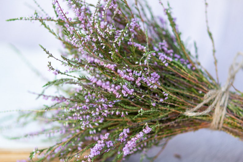 Heideboeket droogbloembos gedroogde heidebloem Calluna vulgaris naturel gedroogde wilde bloemen oude cottage bos rustieke stijl boeket afbeelding 3