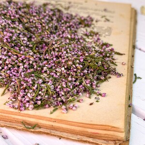 Heather flowers, Dried Forest Heather, dried flowers, wedding flowers, pressed dried flowers, Heather