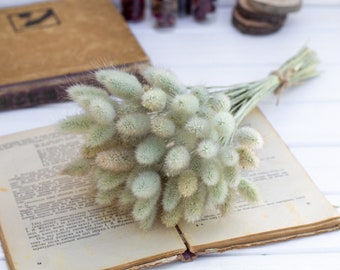 Natural dried flowers lagurus, bunny tails, for Fall Wedding Floral Home Decor ornamental grass, bouquet of dried flowers, Boho Wedding