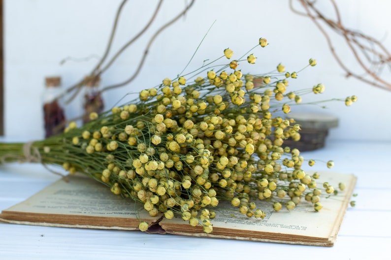 Flax linum, Dried Linum Bunch, dried flax fruits bunch, flax fruits branches, Natural Linum, Rustic Flower Bouquete, DIY handcraft supply image 10