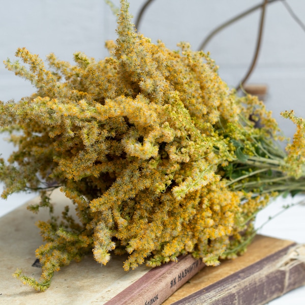 Dried Goldenrod, Yellow flowers, yellow dried flower, dried bouguet,  Solidago Canadensis, meadow flower, rustic style bouquet