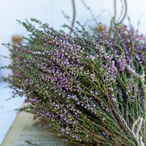 Heather bouquet dried flower bunch dried heather flower Calluna vulgaris natural dried wild flowers old cottage bunch rustic style bouquet image 4