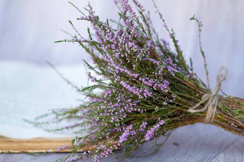 Heather bouquet dried flower bunch dried heather flower Calluna vulgaris natural dried wild flowers old cottage bunch rustic style bouquet image 10