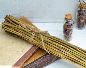 Dried yarrow stalks stems sticks achillee divination i ching set of 50+ 5 Harvest of 2023