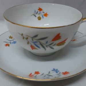 Vintage Thomas Bavaria Cup and Saucer Set