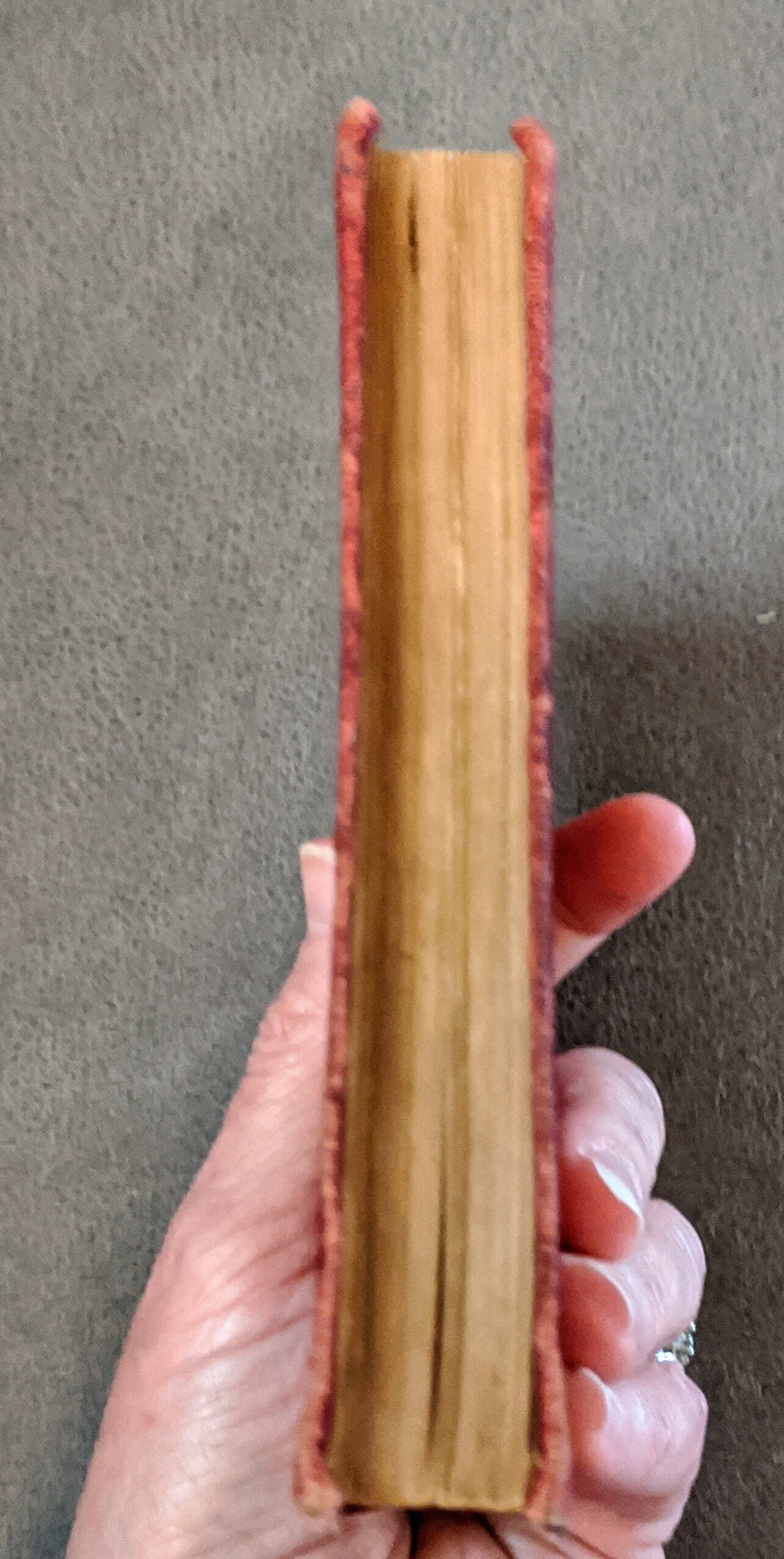 アンティークハードカバー テニスンの「王の牧歌」 1903年 マクミラン