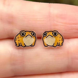 Orecchini a forma di rana scontrosa – Meme di pioggia nel deserto arrabbiato disegnato a mano, regalo kawaii