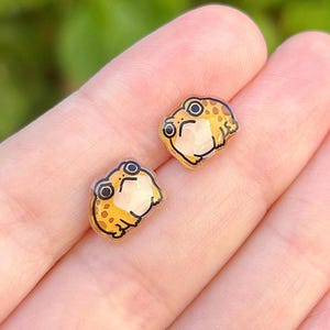 Grumpy Frog Earrings – Hand Drawn and Painted Angry Desert Rain Meme Kawaii Gift