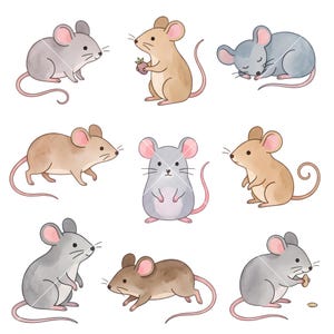 Puede incluir: Una colección de nueve ilustraciones en estilo acuarela de pequeños ratones en varias posturas. Los ratones están representados en tonos grises y marrón claro, con orejas rosas y colas largas. Algunos ratones están de pie, sentados, durmiendo o comiendo.